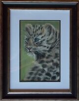 Amur Leopard Cub