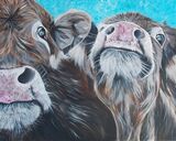 Cows