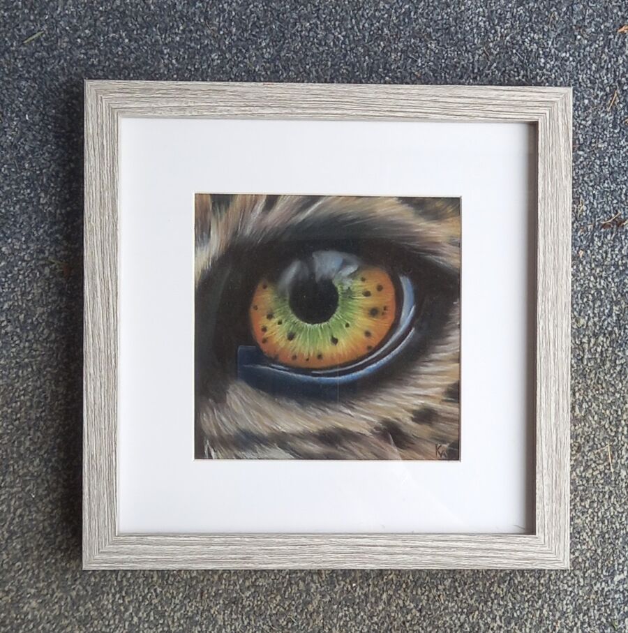 Eye4