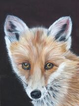 Hazel