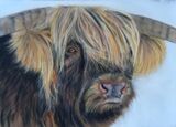 Jimbo - Pastels
