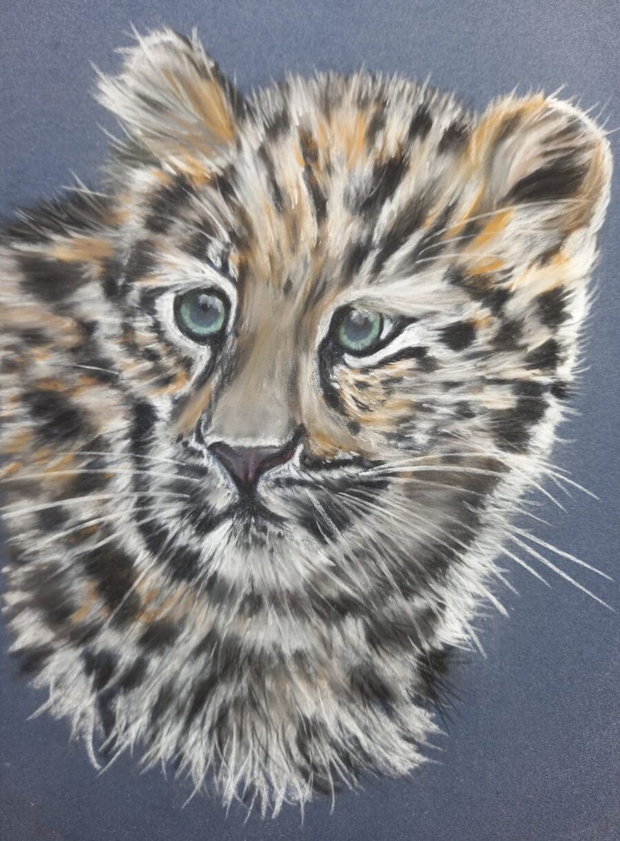 Amur Leopard Cub2