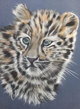 Amur Leopard Cub2