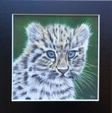 Amur Leopard Cub