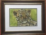 Amur Leopard Cub