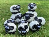 Ceramic Sheep