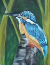 Kingfisher 2