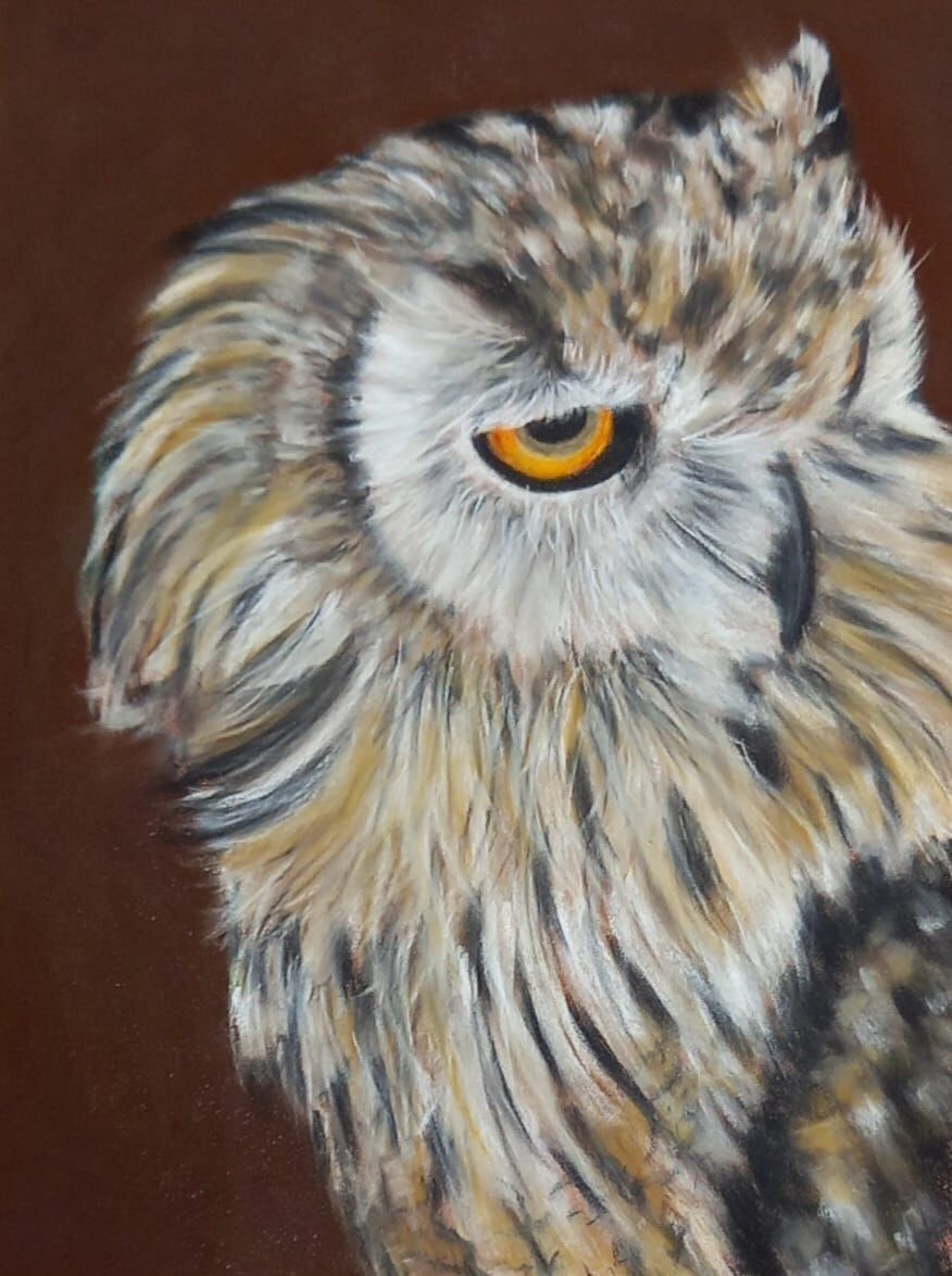 Owl 1