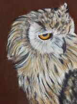 Owl 1