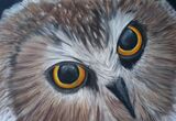 Owl 6