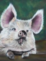 Piggy 1