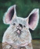 Piggy 2