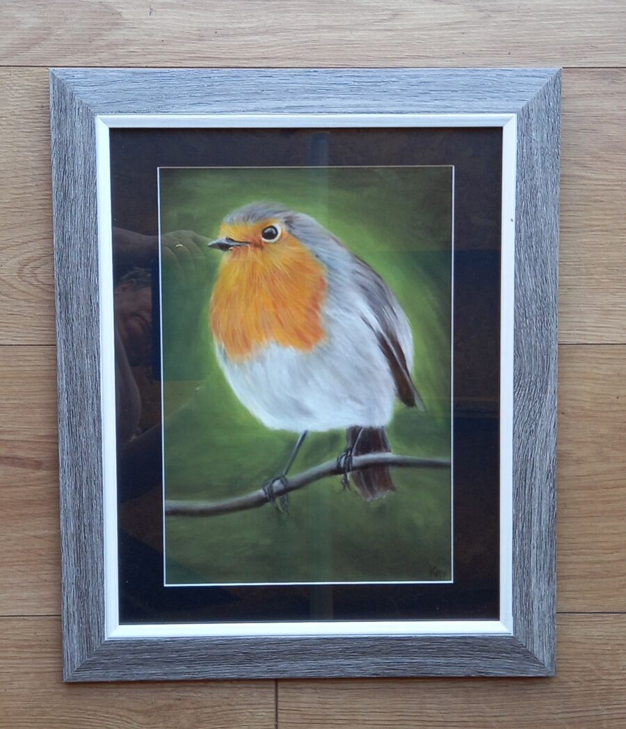 Robin 3