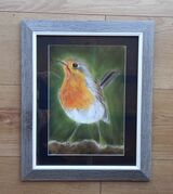 Robin 5