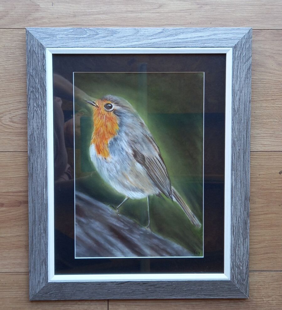 Robin 7
