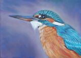 Kingfisher 3