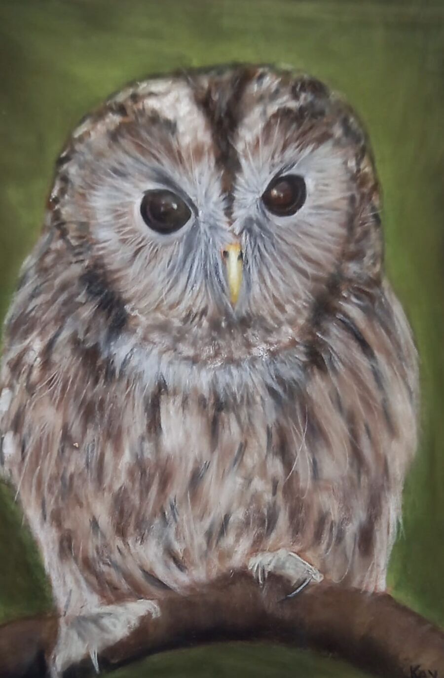 Owl 4