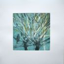 Pigeon in tangled branch