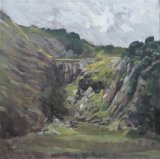 Nine Months on Dartmoor