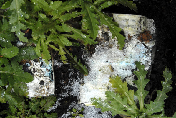 Frozen in Time