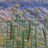 Layered Sheers with stitch