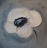 'Cream Poppy with Stem'