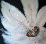 'Lizzi - Black & Creams'