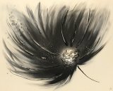 'Whisper - Black' 30"x24" £60