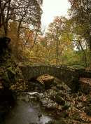 Aira Force
