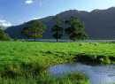 Bassenthwaite Lake
