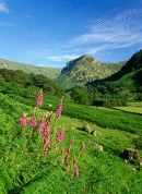 Eagle Crag