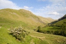 Gray Crag