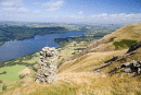 Bonscale Pike