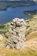 Bonscale Pike