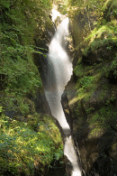 Aira Force