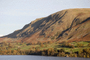 Bonscale Pike