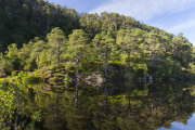 KW-SH-17-10 Glen Strathfarrer