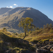 KW-SH-17-23 Glen Etive