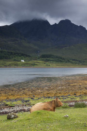 KW-SH-17-3 Blabheinn Isle of Skye