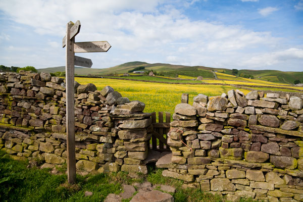 Wall stile through the meadows near Gayle