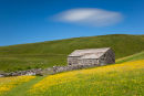 Field barn, Cray, Upper Wharfedale