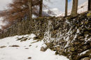 Snow driven against dry stone wall below Blencathra