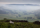 Wharfedale above Kettlewell