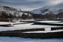 Reeth Meadows, Swaledale