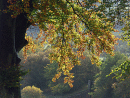 Autumn colours near Keswick