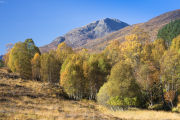 Sgurr na Lapaich, Glen Affric