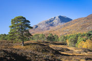 Sgurr na Lapaich, Glen Affric