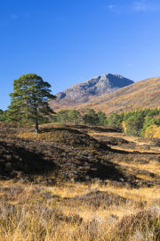 Sgurr na Lapaich, Glen Affric