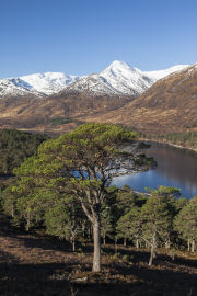 An Tudair overlooking Loch Affric