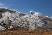 Gairich from Glen Garry